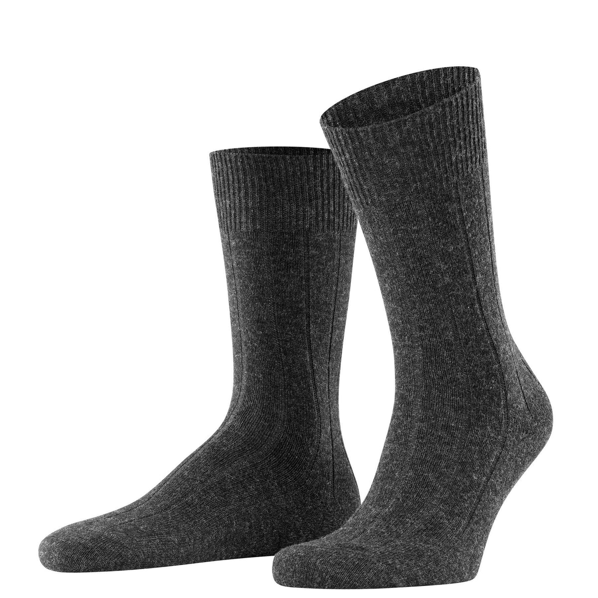 Lhasa Rib Socks - Men