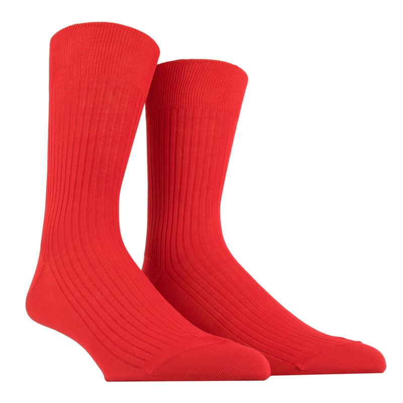Pur Fil d'Ecosse Ribbed Socks - Men's