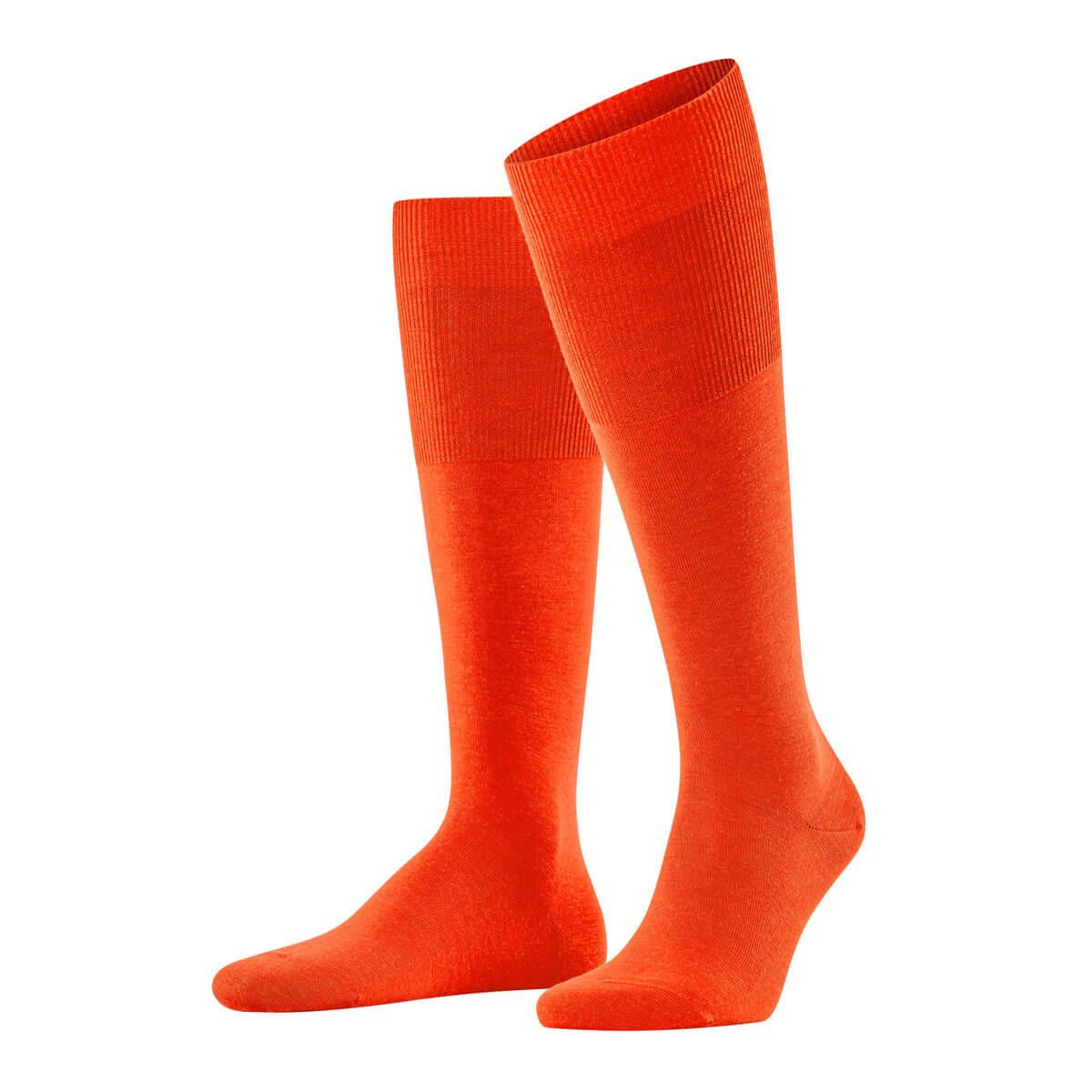 Airport Knee High Socks - Men's