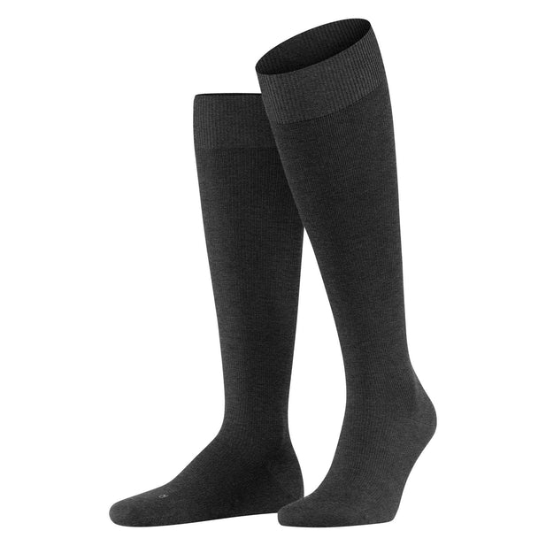 Energizing Wool Knee High Socks - Men's