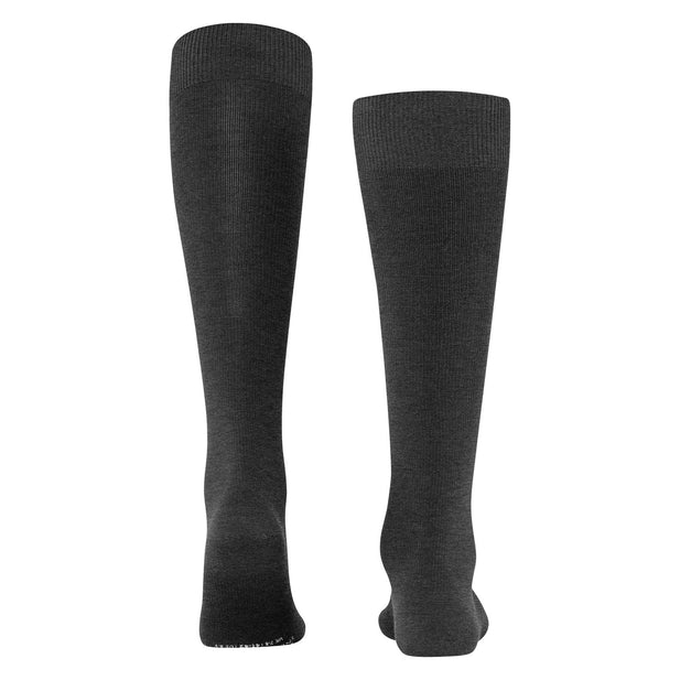 Energizing Wool Knee High Socks - Men's
