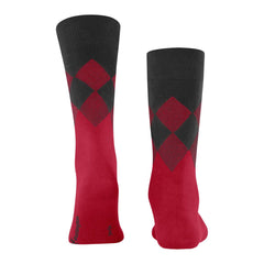 Hampstead Socks - Men's