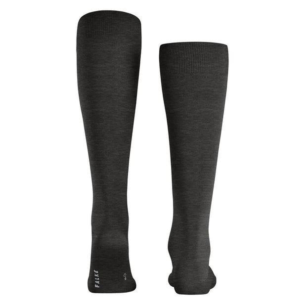 ClimaWool Knee High Socks - Men's